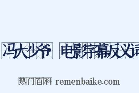 冯大少爷·电影字幕反义词是什么意思的图片
